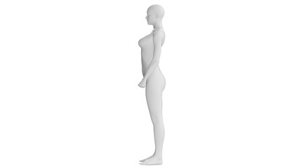 Female Mannequin in Confident Pose Isolated on Transparent Background. Side View