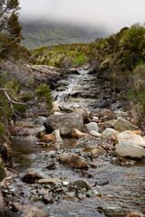 stream in the mountains
