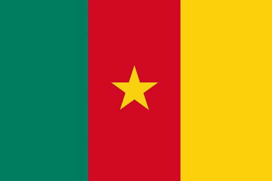 Cameroon flag, country flag, flag, cameroon, Cameron, country, travel, nation, national 