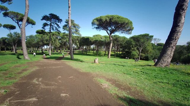 overview of the park of villa Pamphili in Rome on sunny day. High quality 4k footage
