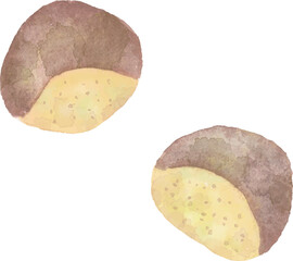 水彩タッチの栗のベクターイラスト