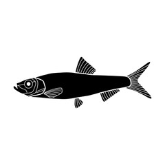 black and white fish vector illustration. Commercial fishes. Fresh raw edible cartoon fish.  Fish Silhouette Seafood Product