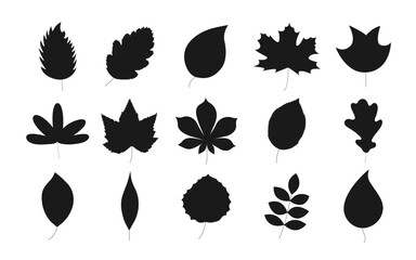 Silhouette leaves set. Autumn black symbol leaf. Vector