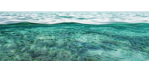 PNG Tropical Paradise ocean horizon water underwater.