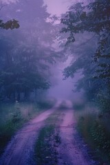 Fototapeta premium A winding dirt road surrounded by dense forest foliage