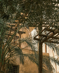 Garden of a house in Cairo