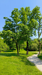 spring in Tivoli park in Ljubljana