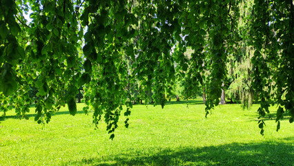 spring in Tivoli park in Ljubljana