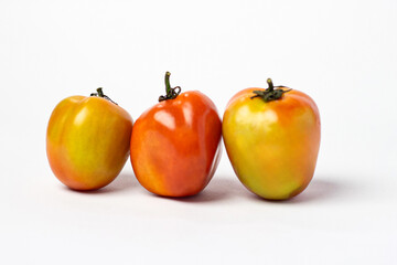 red and orange tomatoes 