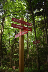 Boucle Mont Singer 29 Juillet 2024