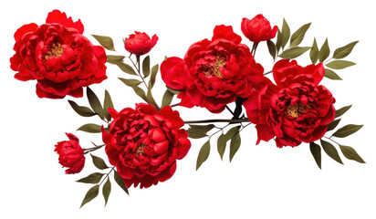 PNG Flower petal plant peony.