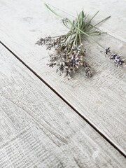 Bouquet of dried lavender on a white background.
