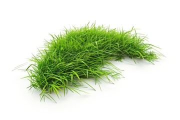 Obraz premium Close-up shot of lush green grass on a white background