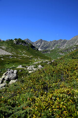 Valley of the mountain river Malaya Dukka in the mountains of the North Caucasus. Tourist trail to the lakes in the mountains of the Arkhyz resort, Karachay-Cherkessia, Russia © Oksana