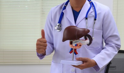 A male gynecologist examines prosthetic organs in a medical room, ensuring their quality and...