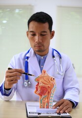 A male gynecologist examines prosthetic organs in a medical room, ensuring their quality and accuracy for training and patient care purposes.