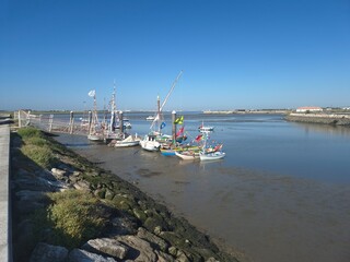 Barcos do Montijo