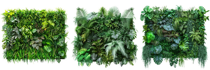 Set of beautiful green garden wall with a variety of tropical plants, carefully cut out isolated on transparent background  (3)