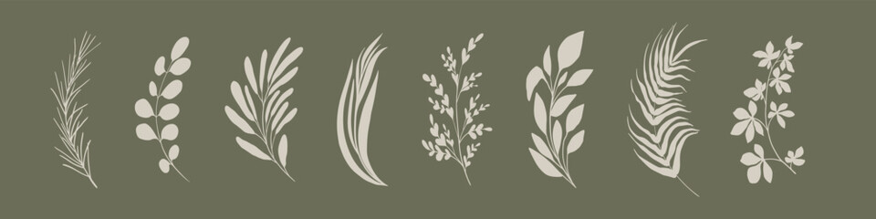 Botanical floral elements collection. Flowers, branches and leaves set. 