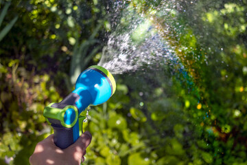 Garden hose in my hand sprays water. Iridescent sun glare on green grass. Close-up. Copy space
