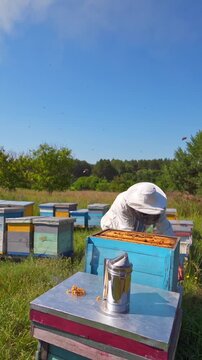 Apiary under blue sky. Beekeeper examining bees in summer among nature. Farmer in protective hat checking bees in the garden. Beekeeping concept. Vertical video