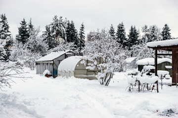 garden in winter, greenhouse covered with snow, trees, garden house and garden accessories