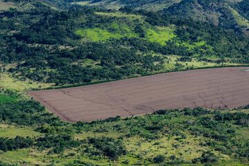 Deforested field for soybean planting