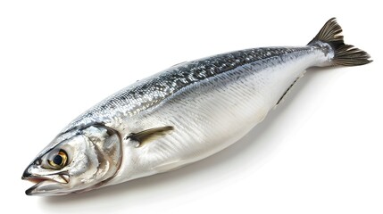 Fresh Scad Fillet Showcasing Firm Texture and White Flesh on Clean Background
