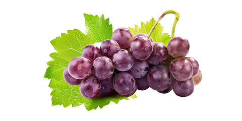 Obraz premium Vibrant Purple Grapes with Dewdrops and Leaf