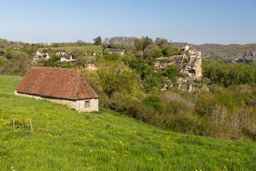 Chateau of Belcastel