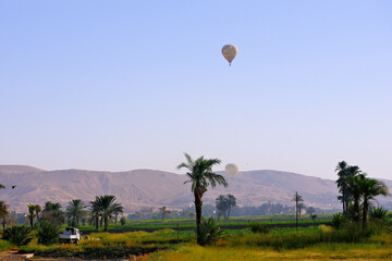 Hot air balloons rising among palm trees and mountains near the Valley of Kings, Luxor, Egypt