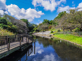 【神奈川県】横浜市の岸根公園