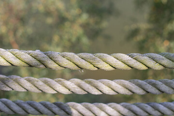 Fototapeta premium three rows of braided ropes against the green foliage of trees, the background is dimly visible, the setting sun gives a golden glow and shadows