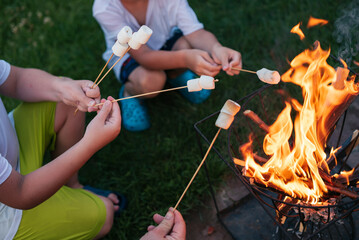 boys roasting marshmallows