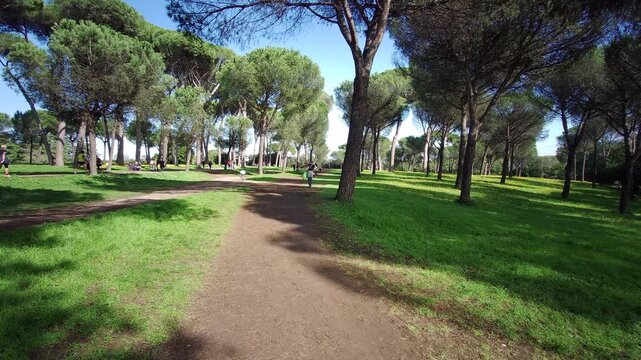 overview of the park of villa Pamphili in Rome on sunny day. High quality 4k footage