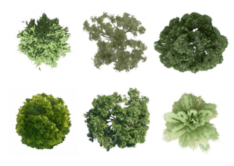 collection of tree plan, Tree Top View with transparent background. set of tree plan photoshop for architecture, landscape, urban planning resources