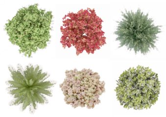 collection of tree plan, Tree Top View with transparent background. set of tree plan photoshop for architecture, landscape, urban planning resources