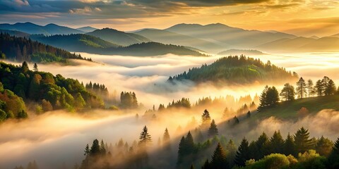 Fototapeta premium Misty morning in the mountains with soft light filtering through the fog , nature, landscape, morning, mist, mountains, fog