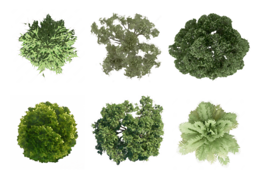 collection of tree plan, Tree Top View with transparent background. set of tree plan photoshop for architecture, landscape, urban planning resources - Powered by Adobe