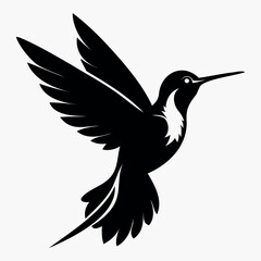 Silhouette Flying Hummingbird vector illustration with white background, Vector Birds Collection