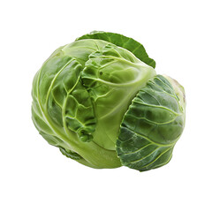 Obraz premium [Transparent Background PNG]Fresh Green Brussels Sprout Isolated on White Background