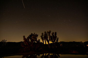 Night time desert in Joshua tree