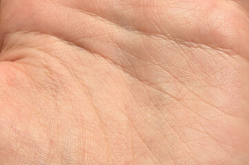 Surface of inner side of a human hand close up with veins and lines