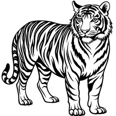 Tiger sideways vector 