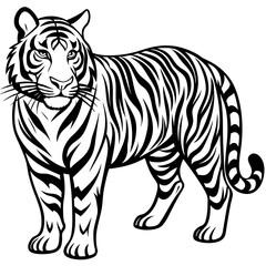 Tiger sideways vector 