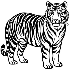 Tiger sideways vector 