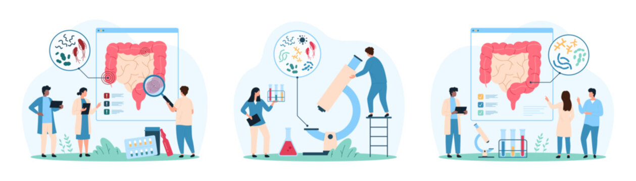 Good and bad bacteria in human intestines set. Tiny people with magnifying glass and microscope research small microbes and bacillus, lactobacillus bacterium inside bowel cartoon vector illustration