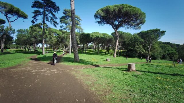overview of the park of villa Pamphili in Rome on sunny day. High quality 4k footage