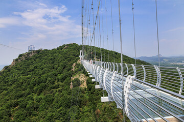 Obraz premium China, Jilin Province, Longjing County , suspended glass bridge 5 D