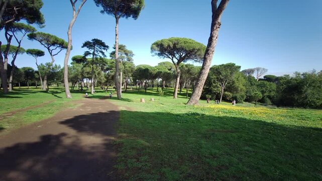 overview of the park of villa Pamphili in Rome on sunny day. High quality 4k footage